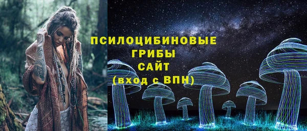 дживик Семикаракорск