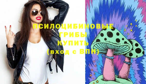 сатива Семилуки