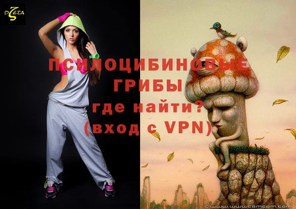дживик Семикаракорск