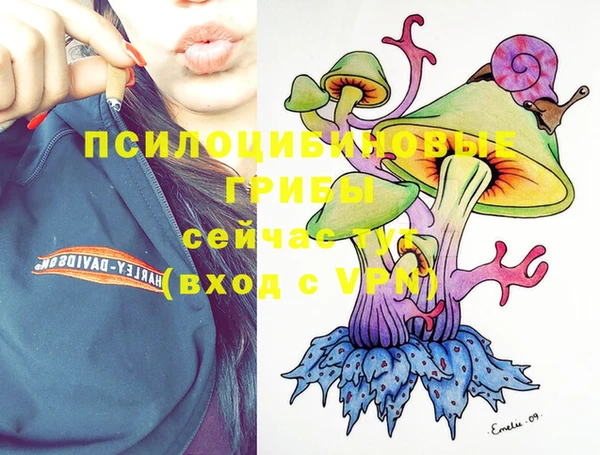 дурь Новозыбков