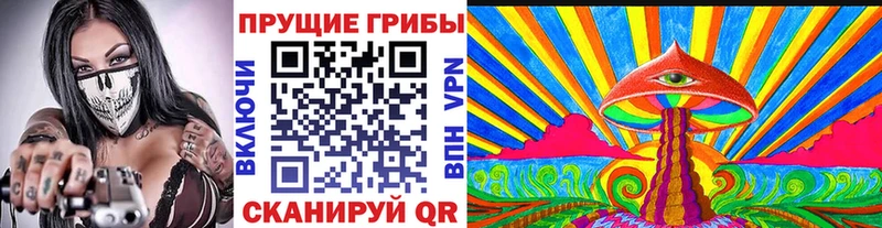 kraken   Славск  Псилоцибиновые грибы Cubensis 