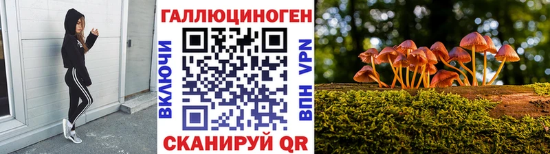 Псилоцибиновые грибы мицелий Славск